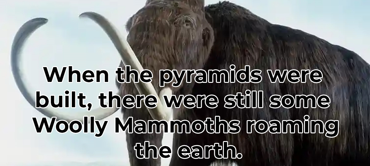 23 Mind-Bending Facts That Seem to Transcend Reality Itself