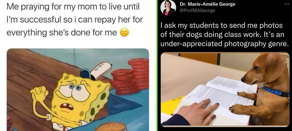 27 Wholesome Memes and Feel Good Pics to Brighten Your Day